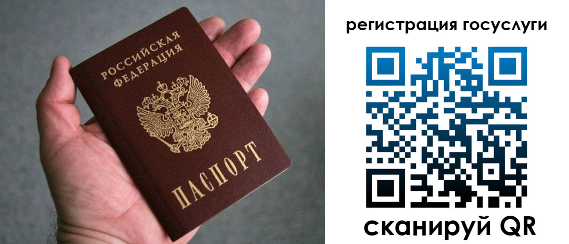 прописка поиск в Коркино